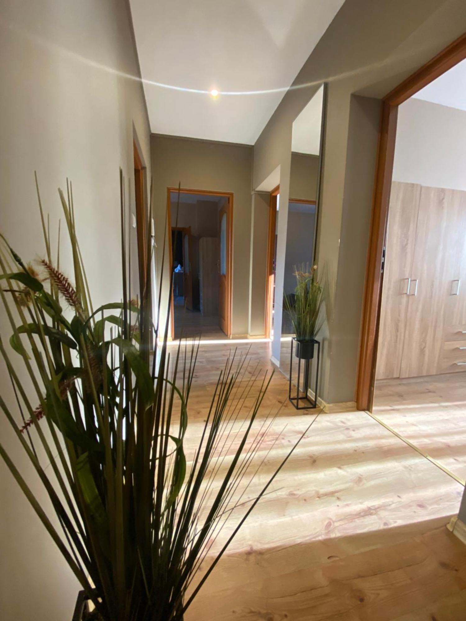4 Pokoje - 86 M2 - 300 M Od Rynku Wrocław Buitenkant foto